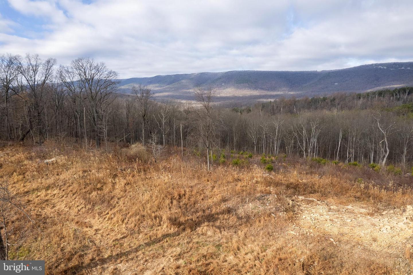 BACK MOUNTAIN ROAD, LOT 11, WINCHESTER, Virginia 22602, ,Land,For sale,BACK MOUNTAIN ROAD, LOT 11,VAFV2038280 MLS # VAFV2038280