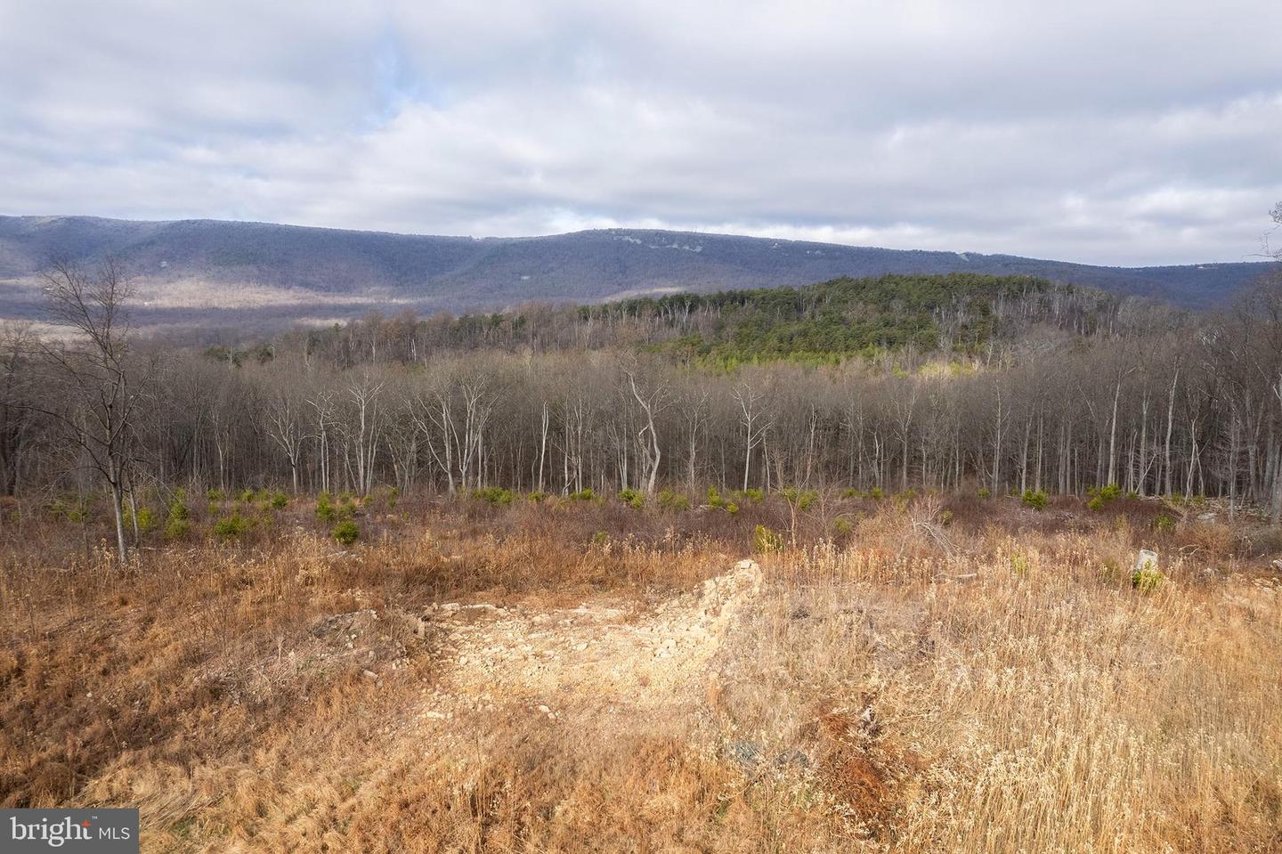 BACK MOUNTAIN ROAD, LOT 11, WINCHESTER, Virginia 22602, ,Land,For sale,BACK MOUNTAIN ROAD, LOT 11,VAFV2038280 MLS # VAFV2038280