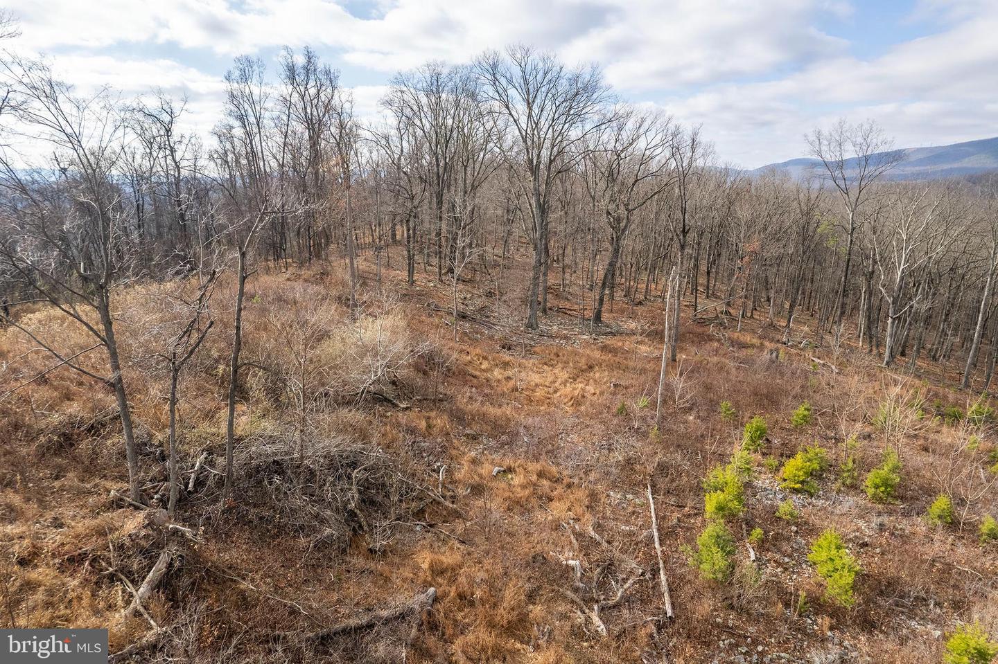 BACK MOUNTAIN ROAD, LOT 11, WINCHESTER, Virginia 22602, ,Land,For sale,BACK MOUNTAIN ROAD, LOT 11,VAFV2038280 MLS # VAFV2038280