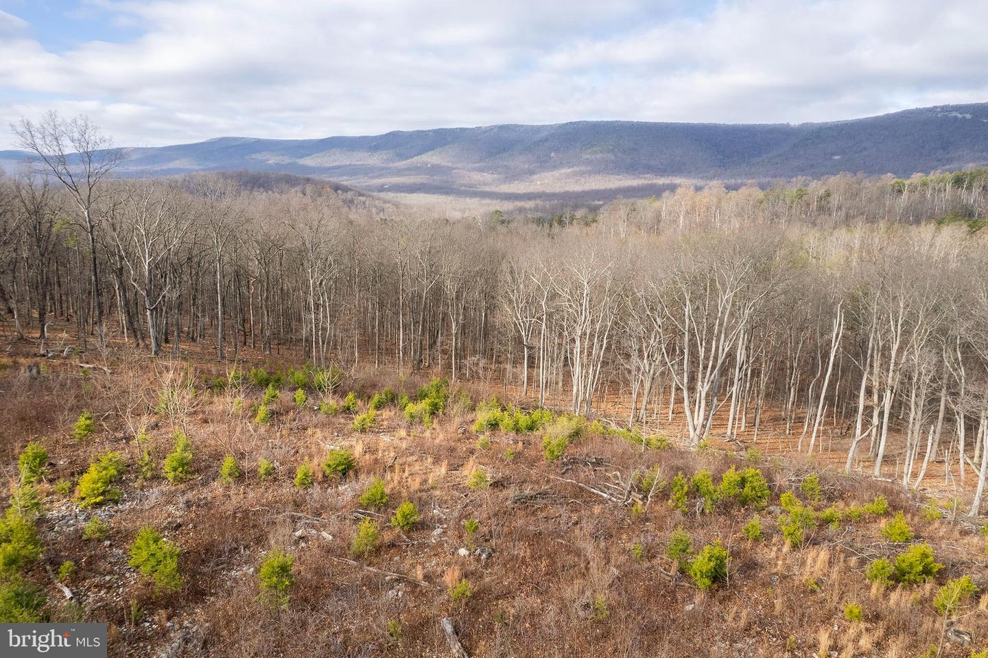 BACK MOUNTAIN ROAD, LOT 11, WINCHESTER, Virginia 22602, ,Land,For sale,BACK MOUNTAIN ROAD, LOT 11,VAFV2038280 MLS # VAFV2038280