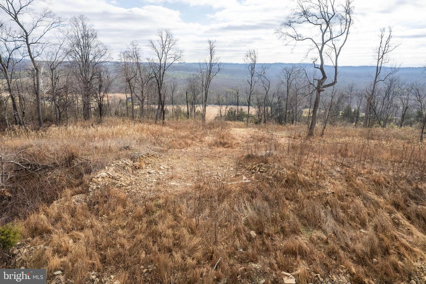 BACK MOUNTAIN ROAD, LOT 11, WINCHESTER, Virginia 22602, ,Land,For sale,BACK MOUNTAIN ROAD, LOT 11,VAFV2038280 MLS # VAFV2038280