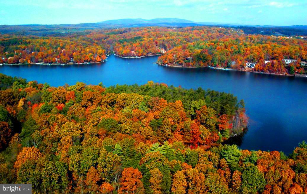 103 GREEN LEAF DR, CROSS JUNCTION, Virginia 22625, ,Land,For sale,103 GREEN LEAF DR,VAFV2038288 MLS # VAFV2038288 103 GREEN LEAF DR, CROSS JUNCTION, Virginia 22625, ,Land,For sale,103 GREEN LEAF DR,VAFV2038288 MLS # VAFV2038288