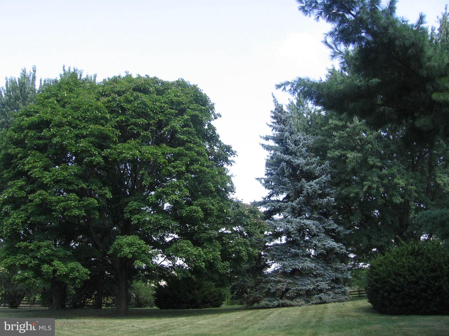 349 TOWN RUN LN, STEPHENS CITY, Virginia 22655, 3 Bedrooms Bedrooms, ,2 BathroomsBathrooms,Residential,For sale,349 TOWN RUN LN,VAFV2038302 MLS # VAFV2038302