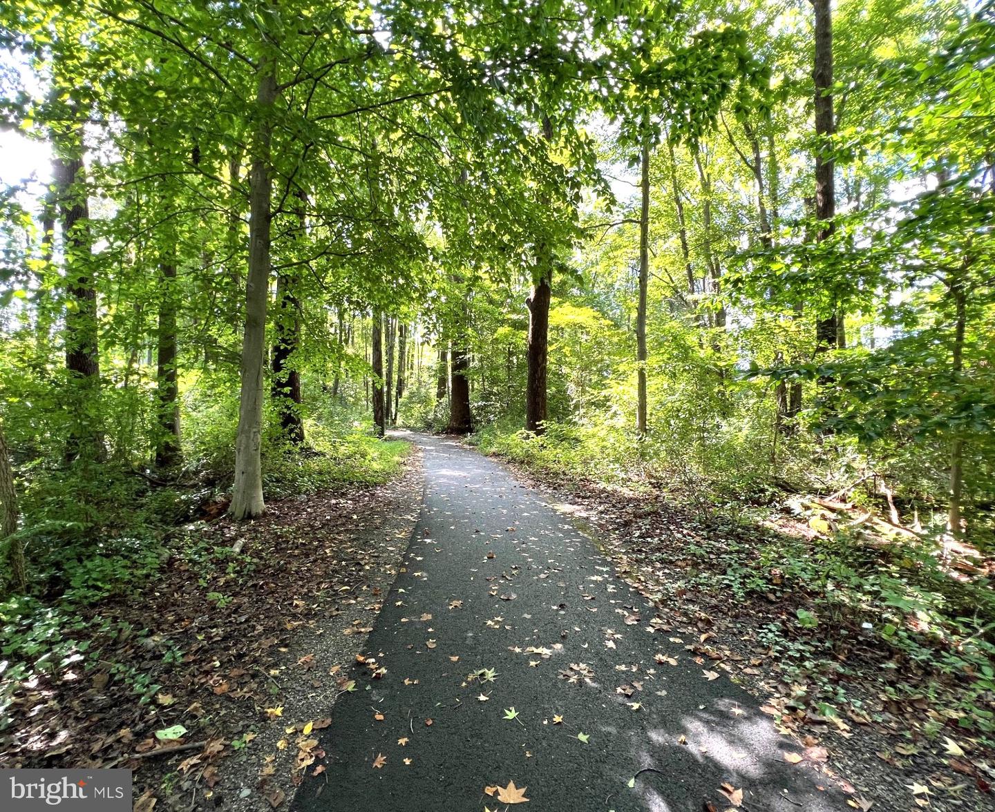 4783 KANDEL CT, ANNANDALE, Virginia 22003, 3 Bedrooms Bedrooms, ,2 BathroomsBathrooms,Residential,For sale,4783 KANDEL CT,VAFX2267658 MLS # VAFX2267658