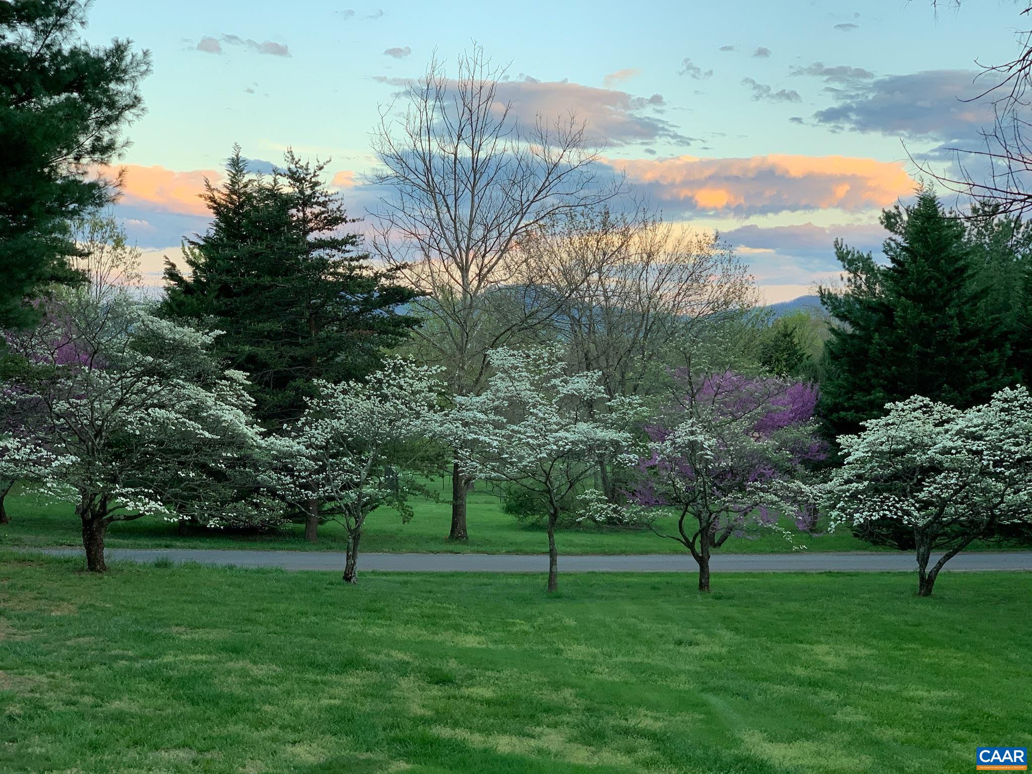 504 NEWTOWN RD, GREENWOOD, Virginia 22943, 3 Bedrooms Bedrooms, ,2 BathroomsBathrooms,Residential,504 NEWTOWN RD,671579 MLS # 671579