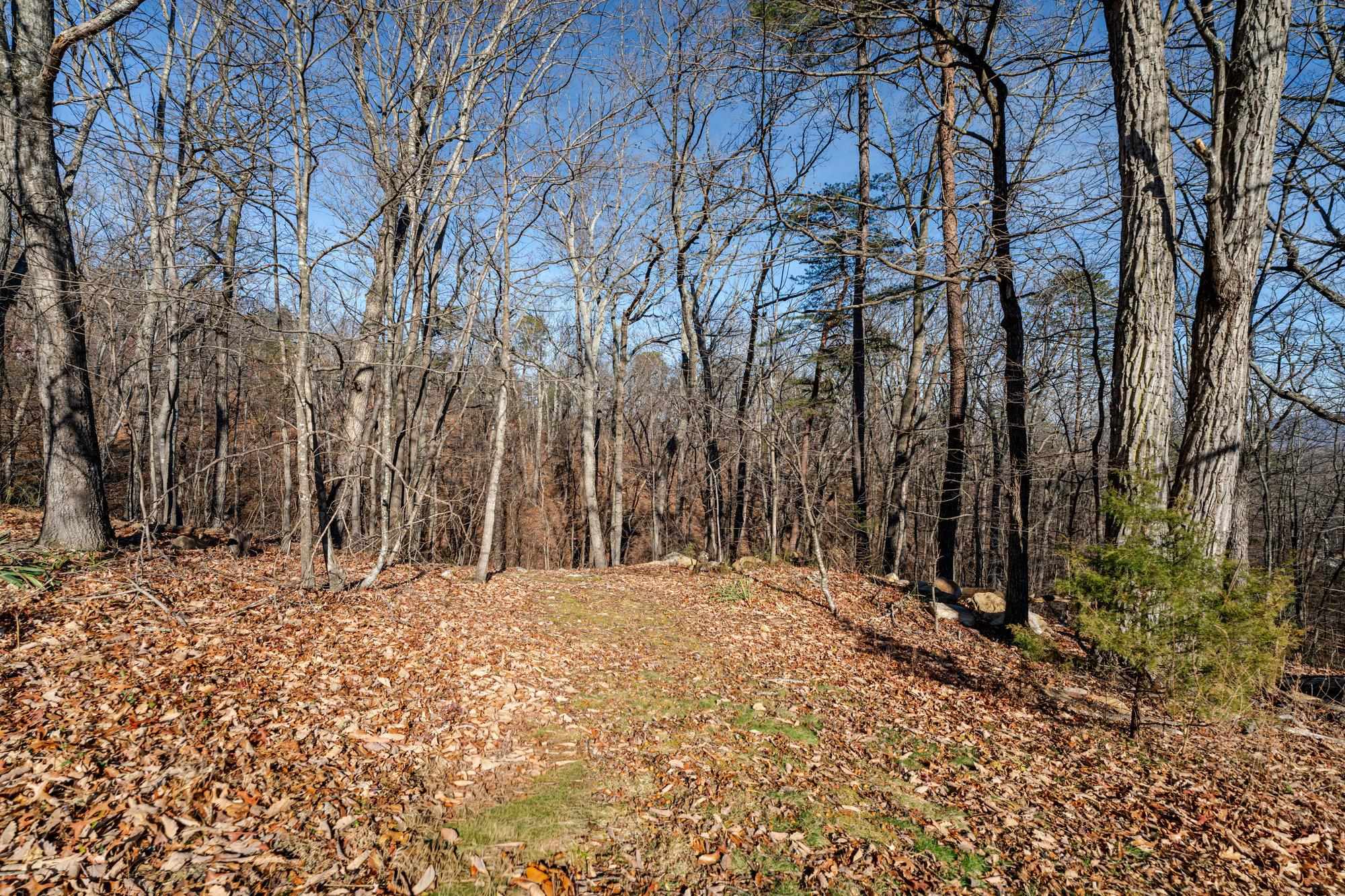 89 BITTER ROOT DR, SHENANDOAH, Virginia 22849, 3 Bedrooms Bedrooms, ,2 BathroomsBathrooms,Residential,89 BITTER ROOT DR,671595 MLS # 671595 89 BITTER ROOT DR, SHENANDOAH, Virginia 22849, 3 Bedrooms Bedrooms, ,2 BathroomsBathrooms,Residential,89 BITTER ROOT DR,671595 MLS # 671595
