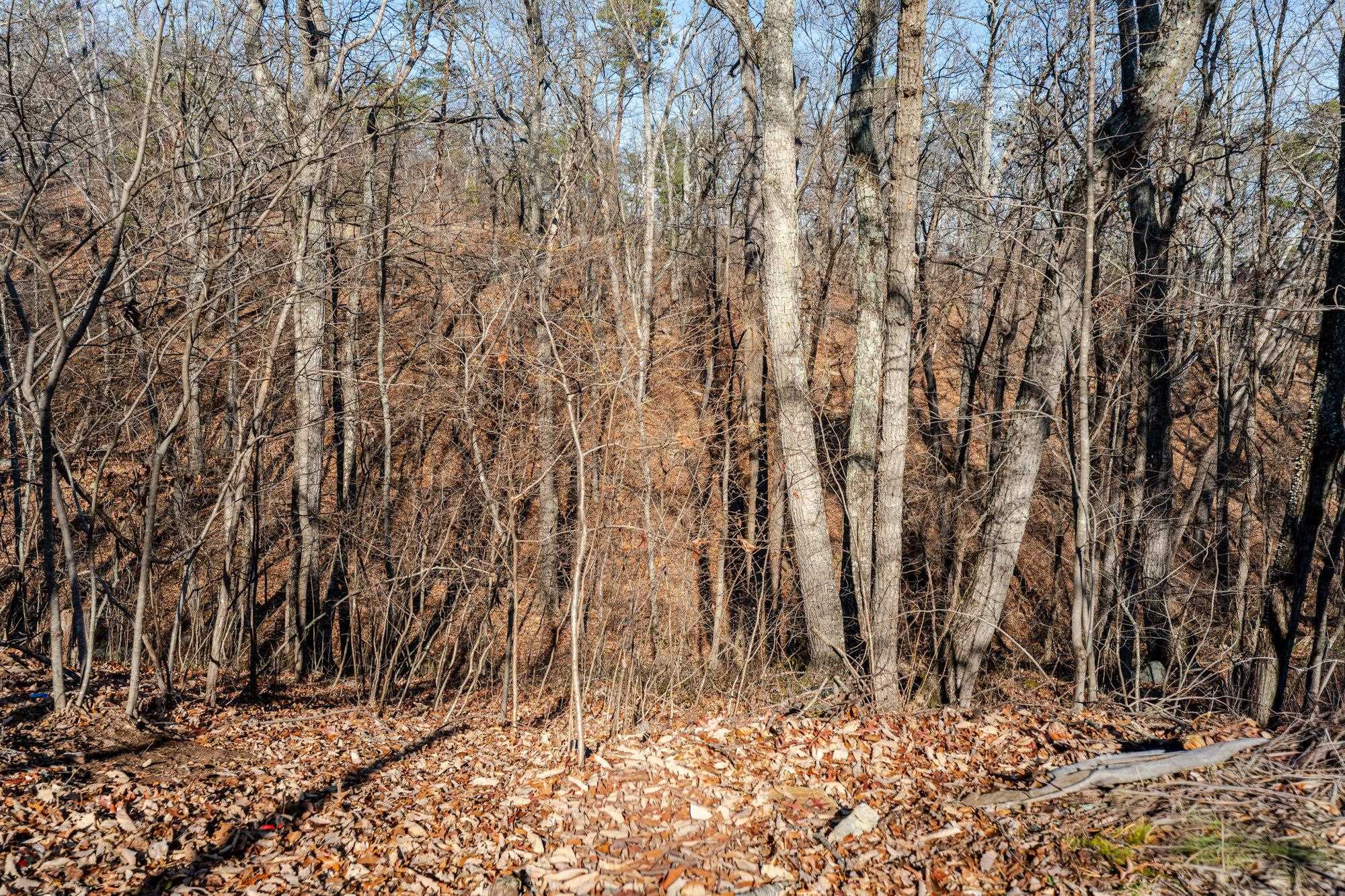 89 BITTER ROOT DR, SHENANDOAH, Virginia 22849, 3 Bedrooms Bedrooms, ,2 BathroomsBathrooms,Residential,89 BITTER ROOT DR,671595 MLS # 671595 89 BITTER ROOT DR, SHENANDOAH, Virginia 22849, 3 Bedrooms Bedrooms, ,2 BathroomsBathrooms,Residential,89 BITTER ROOT DR,671595 MLS # 671595
