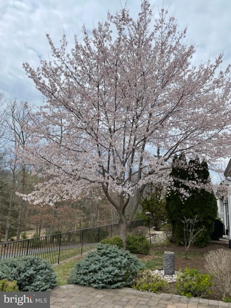 20389 OYSTER REEF PL, ASHBURN, Virginia 20147, 3 Bedrooms Bedrooms, ,3 BathroomsBathrooms,Residential,For sale,20389 OYSTER REEF PL,VALO2110486 MLS # VALO2110486