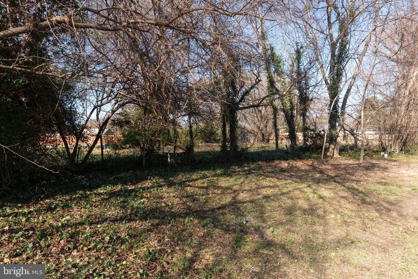 3306 E RIVER RD, SOUTH CHESTERFIELD, Virginia 23803, 3 Bedrooms Bedrooms, ,3 BathroomsBathrooms,Residential,For sale,3306 E RIVER RD,VACF2001330 MLS # VACF2001330 3306 E RIVER RD, SOUTH CHESTERFIELD, Virginia 23803, 3 Bedrooms Bedrooms, ,3 BathroomsBathrooms,Residential,For sale,3306 E RIVER RD,VACF2001330 MLS # VACF2001330