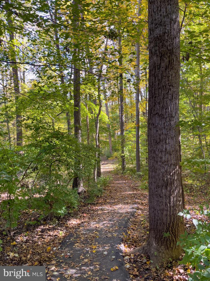 5902 COVE LANDING RD #202, BURKE, Virginia 22015, 2 Bedrooms Bedrooms, ,2 BathroomsBathrooms,Residential,For sale,5902 COVE LANDING RD #202,VAFX2279540 MLS # VAFX2279540