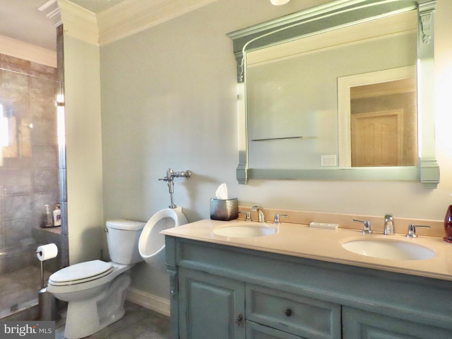 65 CLARK LN, WASHINGTON, Virginia 22747, 7 Bedrooms Bedrooms, ,10 BathroomsBathrooms,Residential,For sale,65 CLARK LN,VARP2002418 MLS # VARP2002418