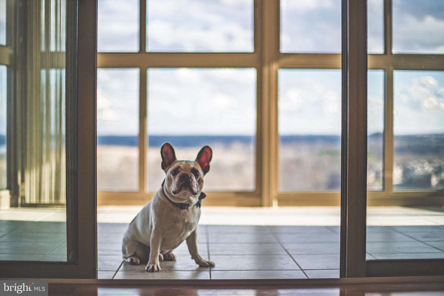 19355 CYPRESS RIDGE TER #1006, LEESBURG, Virginia 20176, 3 Bedrooms Bedrooms, ,2 BathroomsBathrooms,Residential,For sale,19355 CYPRESS RIDGE TER #1006,VALO2111740 MLS # VALO2111740 19355 CYPRESS RIDGE TER #1006, LEESBURG, Virginia 20176, 3 Bedrooms Bedrooms, ,2 BathroomsBathrooms,Residential,For sale,19355 CYPRESS RIDGE TER #1006,VALO2111740 MLS # VALO2111740