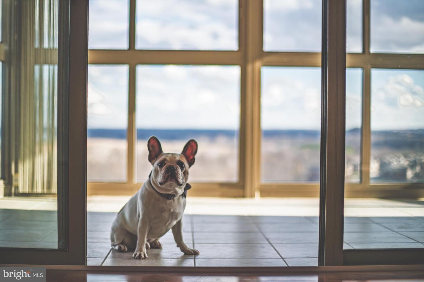 19355 CYPRESS RIDGE TER #1006, LEESBURG, Virginia 20176, 3 Bedrooms Bedrooms, ,2 BathroomsBathrooms,Residential,For sale,19355 CYPRESS RIDGE TER #1006,VALO2111740 MLS # VALO2111740 19355 CYPRESS RIDGE TER #1006, LEESBURG, Virginia 20176, 3 Bedrooms Bedrooms, ,2 BathroomsBathrooms,Residential,For sale,19355 CYPRESS RIDGE TER #1006,VALO2111740 MLS # VALO2111740