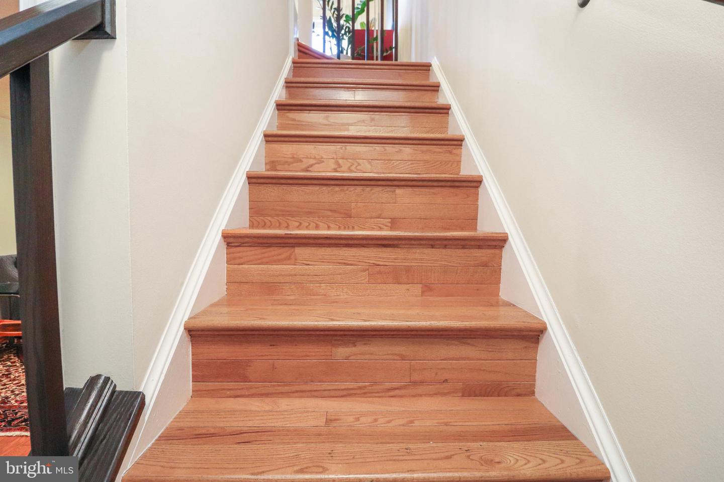 6194 WILD VALLEY CT, ALEXANDRIA, Virginia 22310, 3 Bedrooms Bedrooms, ,2 BathroomsBathrooms,Residential,For sale,6194 WILD VALLEY CT,VAFX2280648 MLS # VAFX2280648 6194 WILD VALLEY CT, ALEXANDRIA, Virginia 22310, 3 Bedrooms Bedrooms, ,2 BathroomsBathrooms,Residential,For sale,6194 WILD VALLEY CT,VAFX2280648 MLS # VAFX2280648