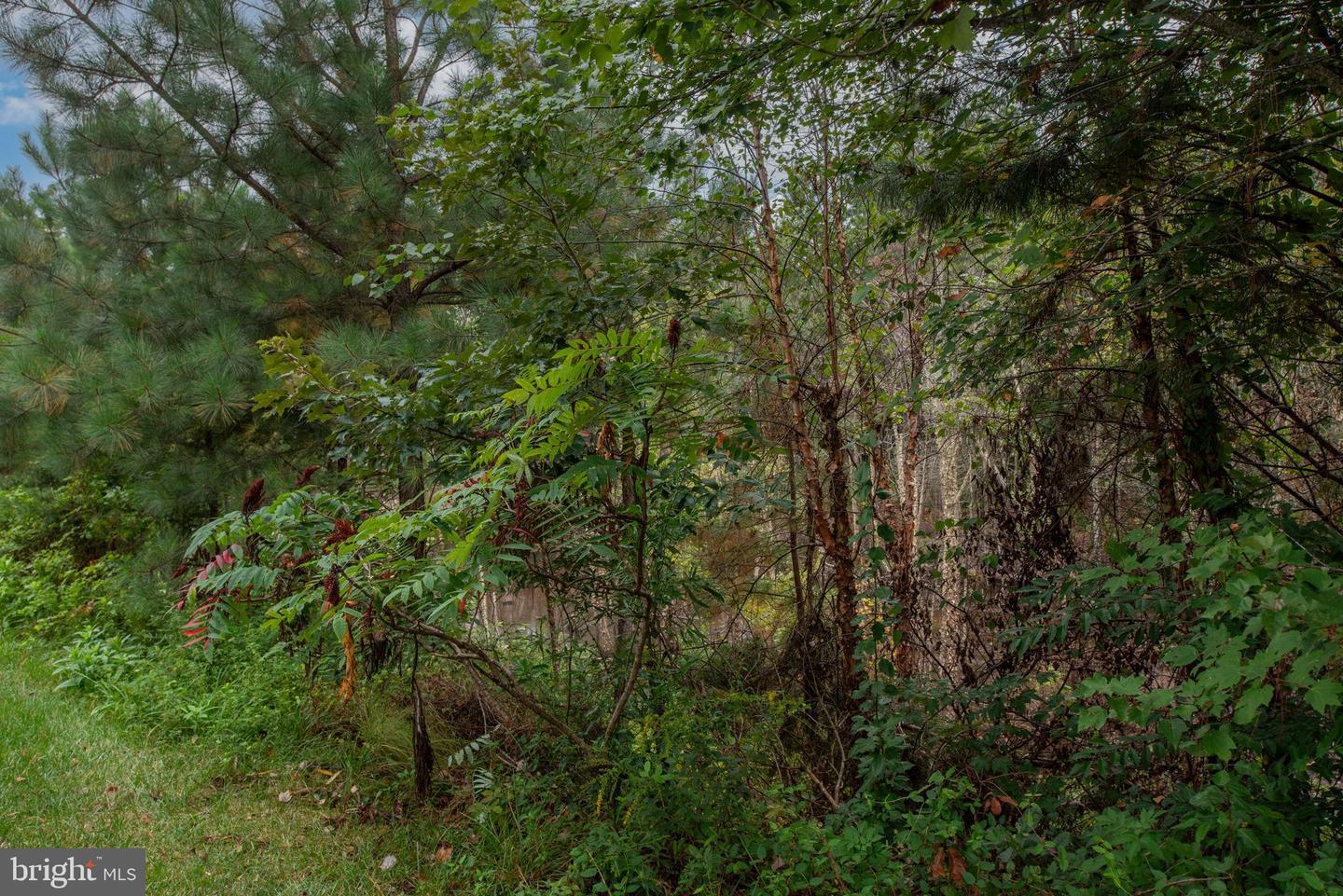 9426 RESERVOIR RD, FREDERICKSBURG, Virginia 22407, 4 Bedrooms Bedrooms, ,3 BathroomsBathrooms,Residential,For sale,9426 RESERVOIR RD,VASP2037878 MLS # VASP2037878