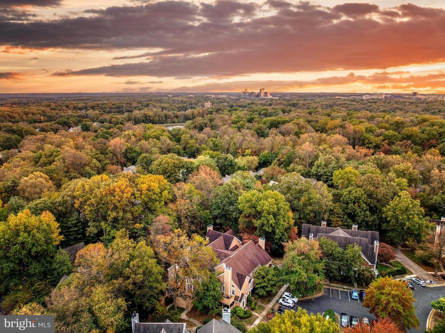 1483 CHURCH HILL PL, RESTON, Virginia 20194, 2 Bedrooms Bedrooms, ,1 BathroomBathrooms,Residential,For sale,1483 CHURCH HILL PL,VAFX2281040 MLS # VAFX2281040 1483 CHURCH HILL PL, RESTON, Virginia 20194, 2 Bedrooms Bedrooms, ,1 BathroomBathrooms,Residential,For sale,1483 CHURCH HILL PL,VAFX2281040 MLS # VAFX2281040