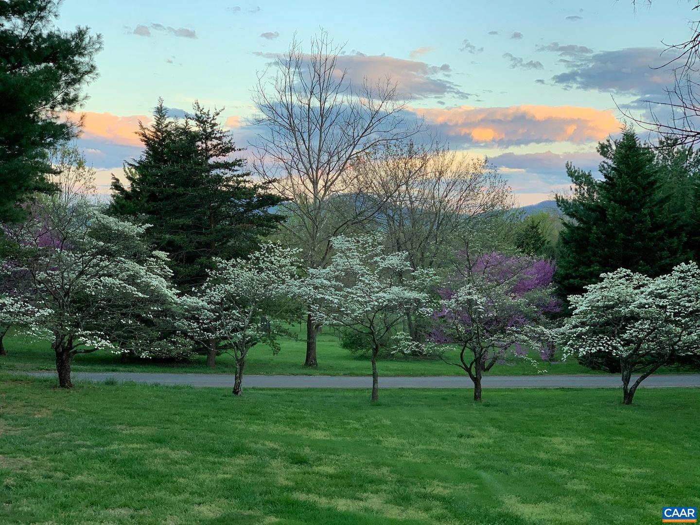 504 NEWTOWN RD, GREENWOOD, Virginia 22943, 3 Bedrooms Bedrooms, ,2 BathroomsBathrooms,Residential,For sale,504 NEWTOWN RD,671579 MLS # 671579 504 NEWTOWN RD, GREENWOOD, Virginia 22943, 3 Bedrooms Bedrooms, ,2 BathroomsBathrooms,Residential,For sale,504 NEWTOWN RD,671579 MLS # 671579