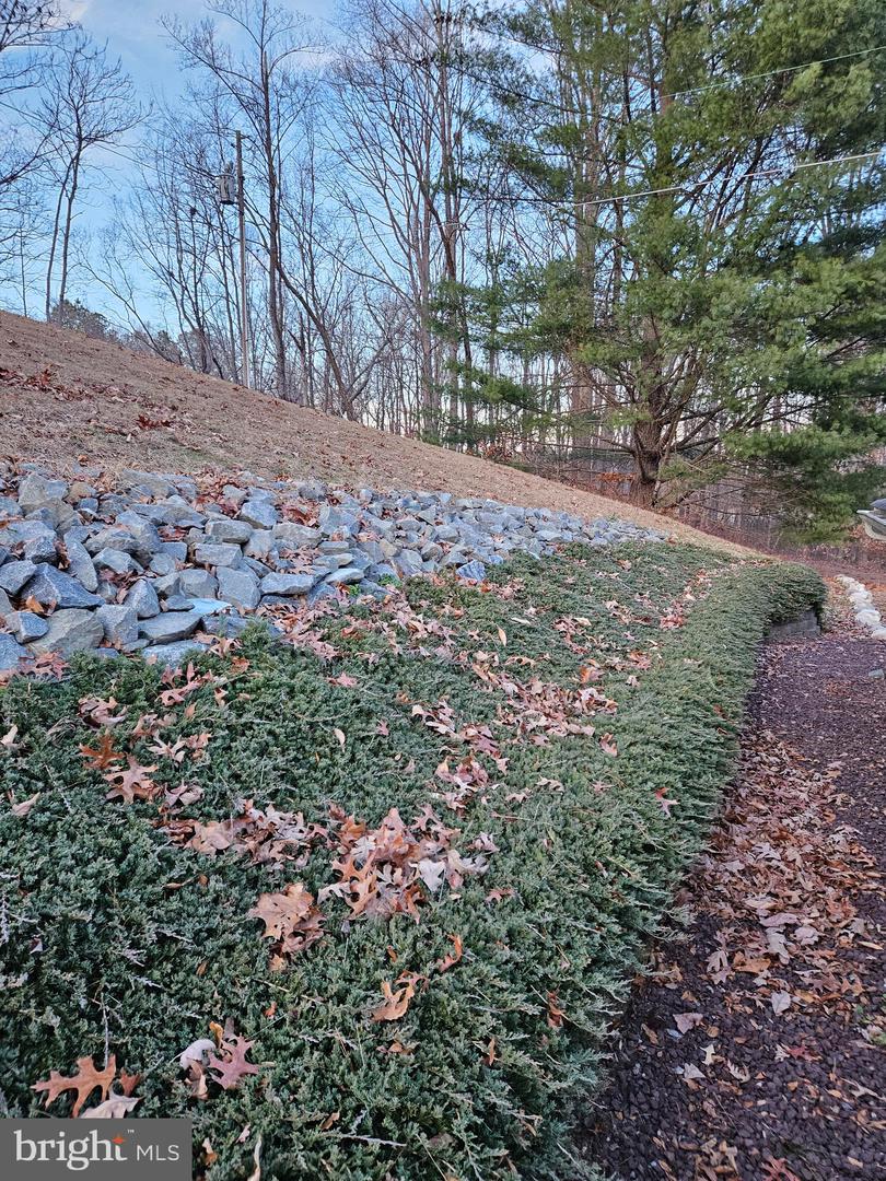 14464 LIPSCOMB HILL LN, MILFORD, Virginia 22514, 4 Bedrooms Bedrooms, 8 Rooms Rooms,3 BathroomsBathrooms,Residential,For sale,14464 LIPSCOMB HILL LN,VACV2009248 MLS # VACV2009248