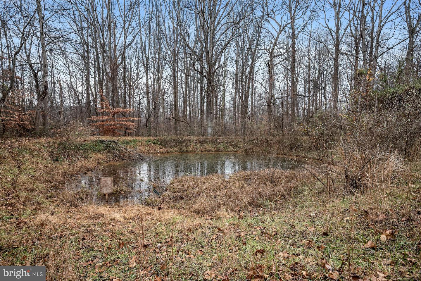 179 RIVER PARK LN, BLUEMONT, Virginia 20135, 5 Bedrooms Bedrooms, 11 Rooms Rooms,3 BathroomsBathrooms,Residential,For sale,179 RIVER PARK LN,VACL2003800 MLS # VACL2003800