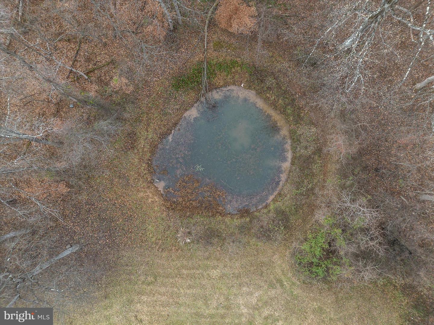 179 RIVER PARK LN, BLUEMONT, Virginia 20135, 5 Bedrooms Bedrooms, 11 Rooms Rooms,3 BathroomsBathrooms,Residential,For sale,179 RIVER PARK LN,VACL2003800 MLS # VACL2003800