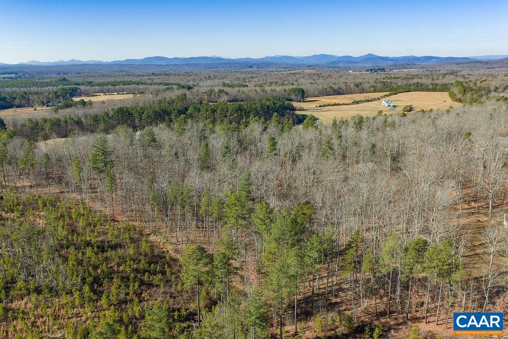 0 SECRETARYS RD, SCOTTSVILLE, Virginia 24590, ,Land,For sale,0 SECRETARYS RD,671602 MLS # 671602