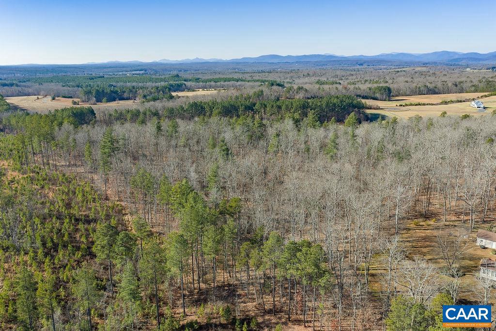 0 SECRETARYS RD, SCOTTSVILLE, Virginia 24590, ,Land,For sale,0 SECRETARYS RD,671602 MLS # 671602