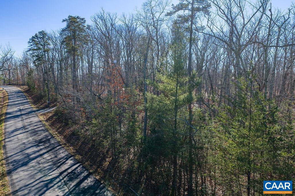 0 SECRETARYS RD, SCOTTSVILLE, Virginia 24590, ,Land,For sale,0 SECRETARYS RD,671602 MLS # 671602