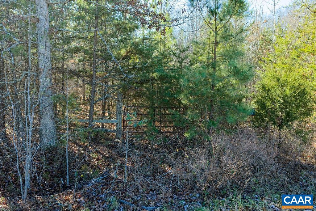 0 SECRETARYS RD, SCOTTSVILLE, Virginia 24590, ,Land,For sale,0 SECRETARYS RD,671602 MLS # 671602