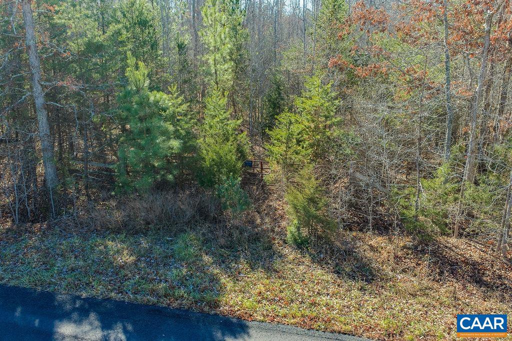 0 SECRETARYS RD, SCOTTSVILLE, Virginia 24590, ,Land,For sale,0 SECRETARYS RD,671602 MLS # 671602