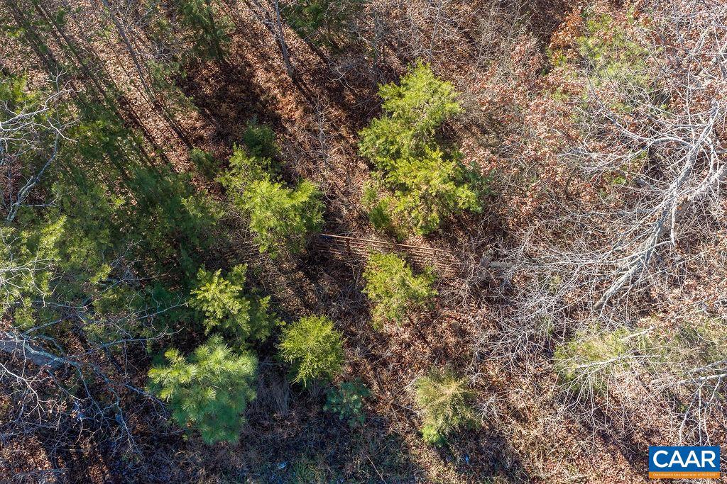 0 SECRETARYS RD, SCOTTSVILLE, Virginia 24590, ,Land,For sale,0 SECRETARYS RD,671602 MLS # 671602