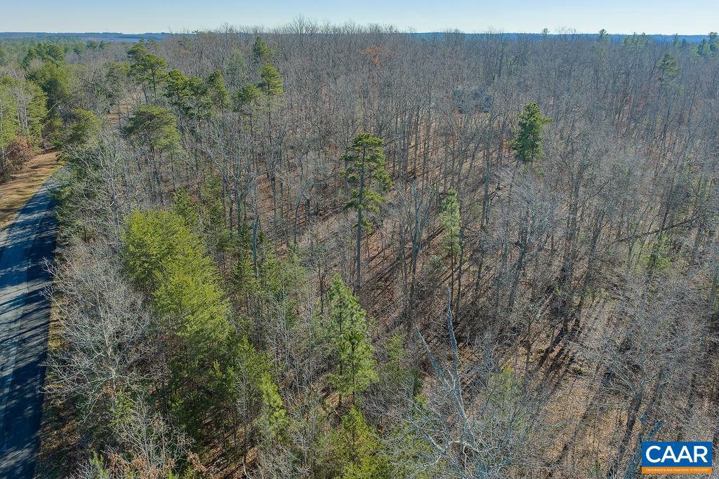 0 SECRETARYS RD, SCOTTSVILLE, Virginia 24590, ,Land,For sale,0 SECRETARYS RD,671602 MLS # 671602