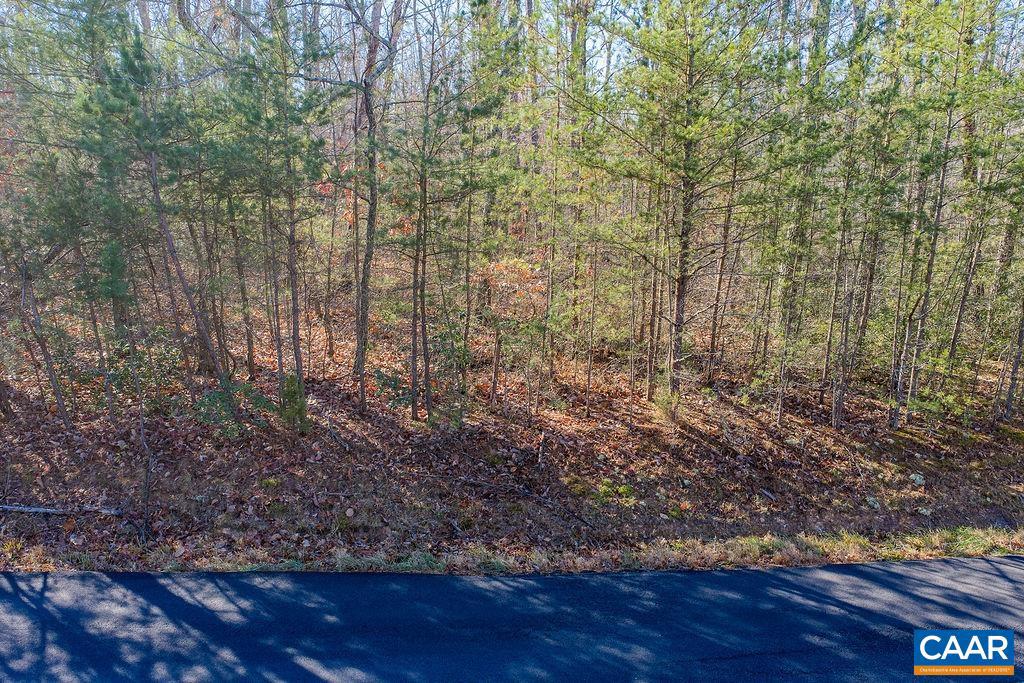 0 SECRETARYS RD, SCOTTSVILLE, Virginia 24590, ,Land,For sale,0 SECRETARYS RD,671602 MLS # 671602