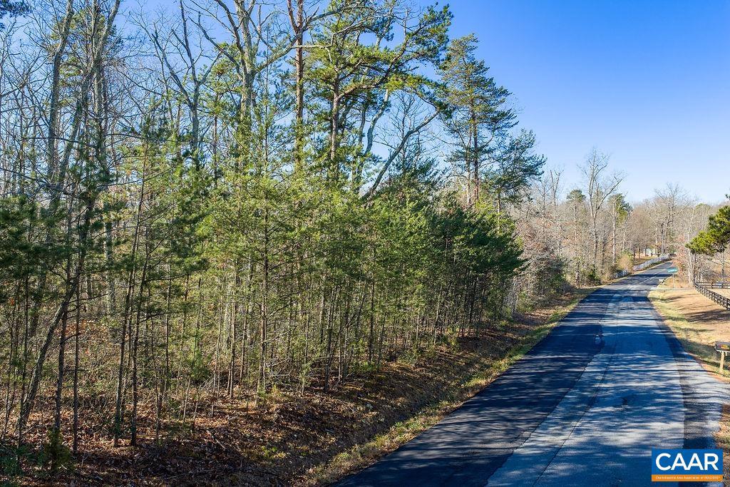 0 SECRETARYS RD, SCOTTSVILLE, Virginia 24590, ,Land,For sale,0 SECRETARYS RD,671602 MLS # 671602