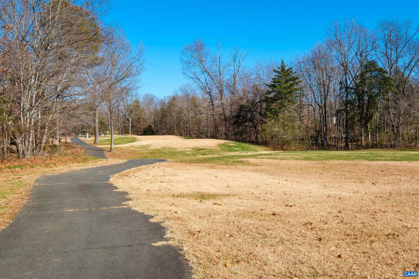 85 MAY APPLE LN, NELLYSFORD, Virginia 22958, ,Land,For sale,85 MAY APPLE LN,671603 MLS # 671603 85 MAY APPLE LN, NELLYSFORD, Virginia 22958, ,Land,For sale,85 MAY APPLE LN,671603 MLS # 671603