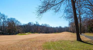 85 MAY APPLE LN, NELLYSFORD, Virginia 22958, ,Land,For sale,85 MAY APPLE LN,671603 MLS # 671603