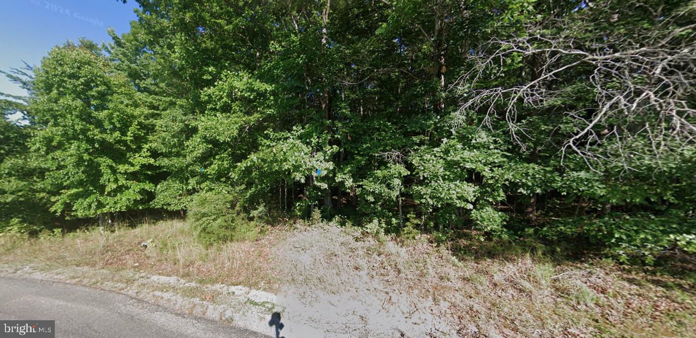 1495 BUCCANEER RD, MONETA, Virginia 24121, ,Land,For sale,1495 BUCCANEER RD,VABV2000262 MLS # VABV2000262 1495 BUCCANEER RD, MONETA, Virginia 24121, ,Land,For sale,1495 BUCCANEER RD,VABV2000262 MLS # VABV2000262