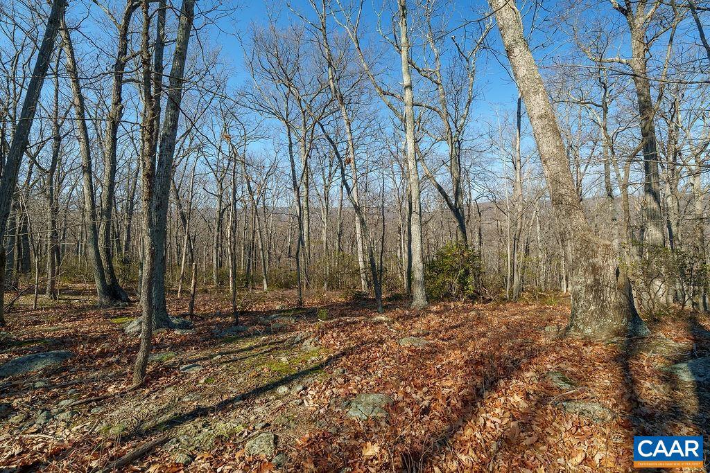 LOT 2 HANDLEY WAY #2, AFTON, Virginia 22920, ,Land,For sale,LOT 2 HANDLEY WAY #2,671617 MLS # 671617 LOT 2 HANDLEY WAY #2, AFTON, Virginia 22920, ,Land,For sale,LOT 2 HANDLEY WAY #2,671617 MLS # 671617