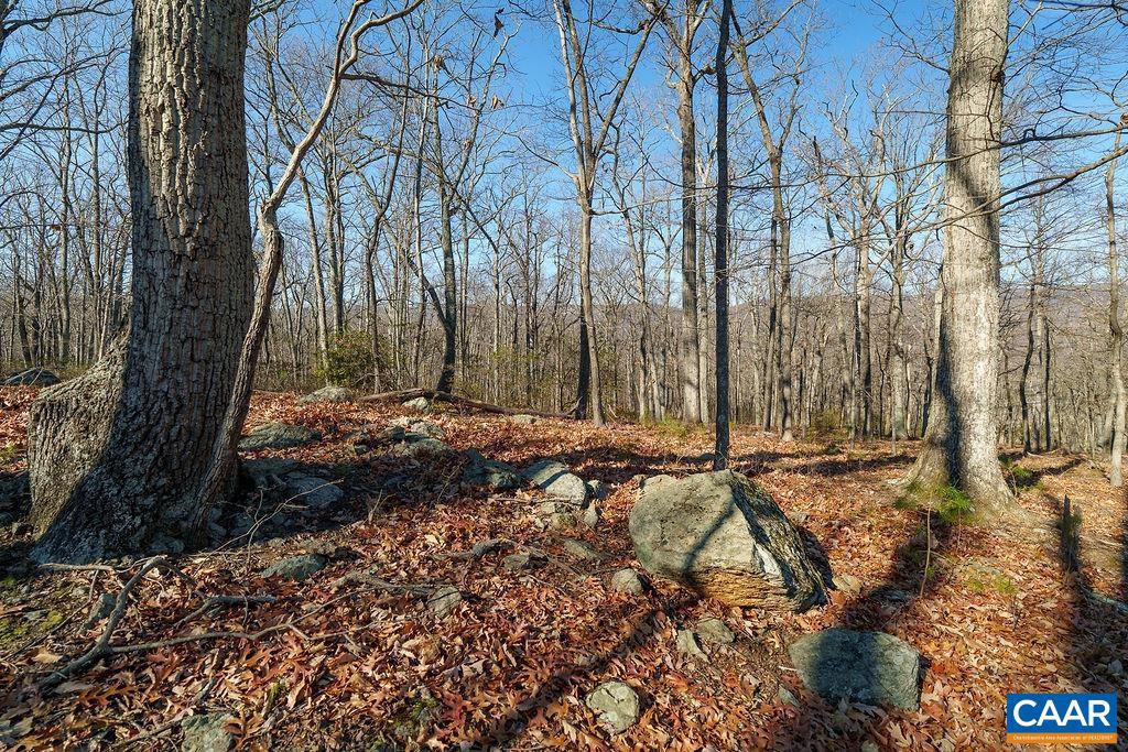 LOT 2 HANDLEY WAY #2, AFTON, Virginia 22920, ,Land,For sale,LOT 2 HANDLEY WAY #2,671617 MLS # 671617 LOT 2 HANDLEY WAY #2, AFTON, Virginia 22920, ,Land,For sale,LOT 2 HANDLEY WAY #2,671617 MLS # 671617