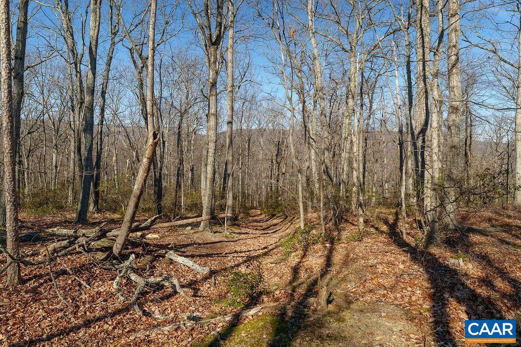 LOT 2 HANDLEY WAY #2, AFTON, Virginia 22920, ,Land,For sale,LOT 2 HANDLEY WAY #2,671617 MLS # 671617 LOT 2 HANDLEY WAY #2, AFTON, Virginia 22920, ,Land,For sale,LOT 2 HANDLEY WAY #2,671617 MLS # 671617