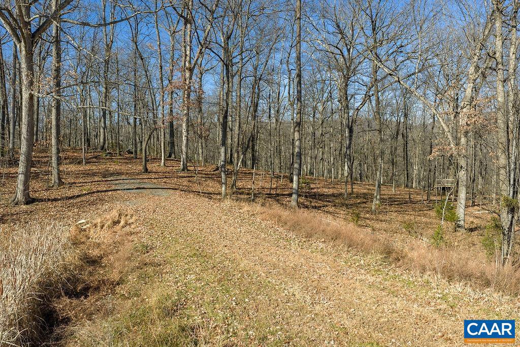 LOT 2 HANDLEY WAY #2, AFTON, Virginia 22920, ,Land,For sale,LOT 2 HANDLEY WAY #2,671617 MLS # 671617 LOT 2 HANDLEY WAY #2, AFTON, Virginia 22920, ,Land,For sale,LOT 2 HANDLEY WAY #2,671617 MLS # 671617