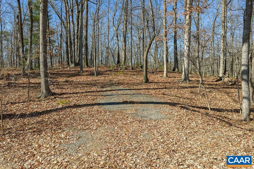 LOT 2 HANDLEY WAY #2, AFTON, Virginia 22920, ,Land,For sale,LOT 2 HANDLEY WAY #2,671617 MLS # 671617 LOT 2 HANDLEY WAY #2, AFTON, Virginia 22920, ,Land,For sale,LOT 2 HANDLEY WAY #2,671617 MLS # 671617