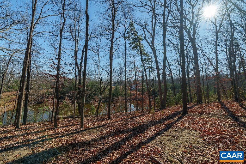 LOT 2 HANDLEY WAY #2, AFTON, Virginia 22920, ,Land,For sale,LOT 2 HANDLEY WAY #2,671617 MLS # 671617 LOT 2 HANDLEY WAY #2, AFTON, Virginia 22920, ,Land,For sale,LOT 2 HANDLEY WAY #2,671617 MLS # 671617