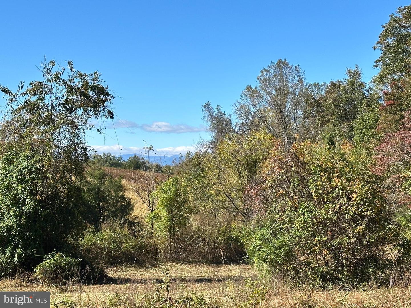 9441 CONSTITUTION HWY, SOMERSET, Virginia 22972, 2 Bedrooms Bedrooms, 7 Rooms Rooms,1 BathroomBathrooms,Residential,For sale,9441 CONSTITUTION HWY,VAOR2012532 MLS # VAOR2012532