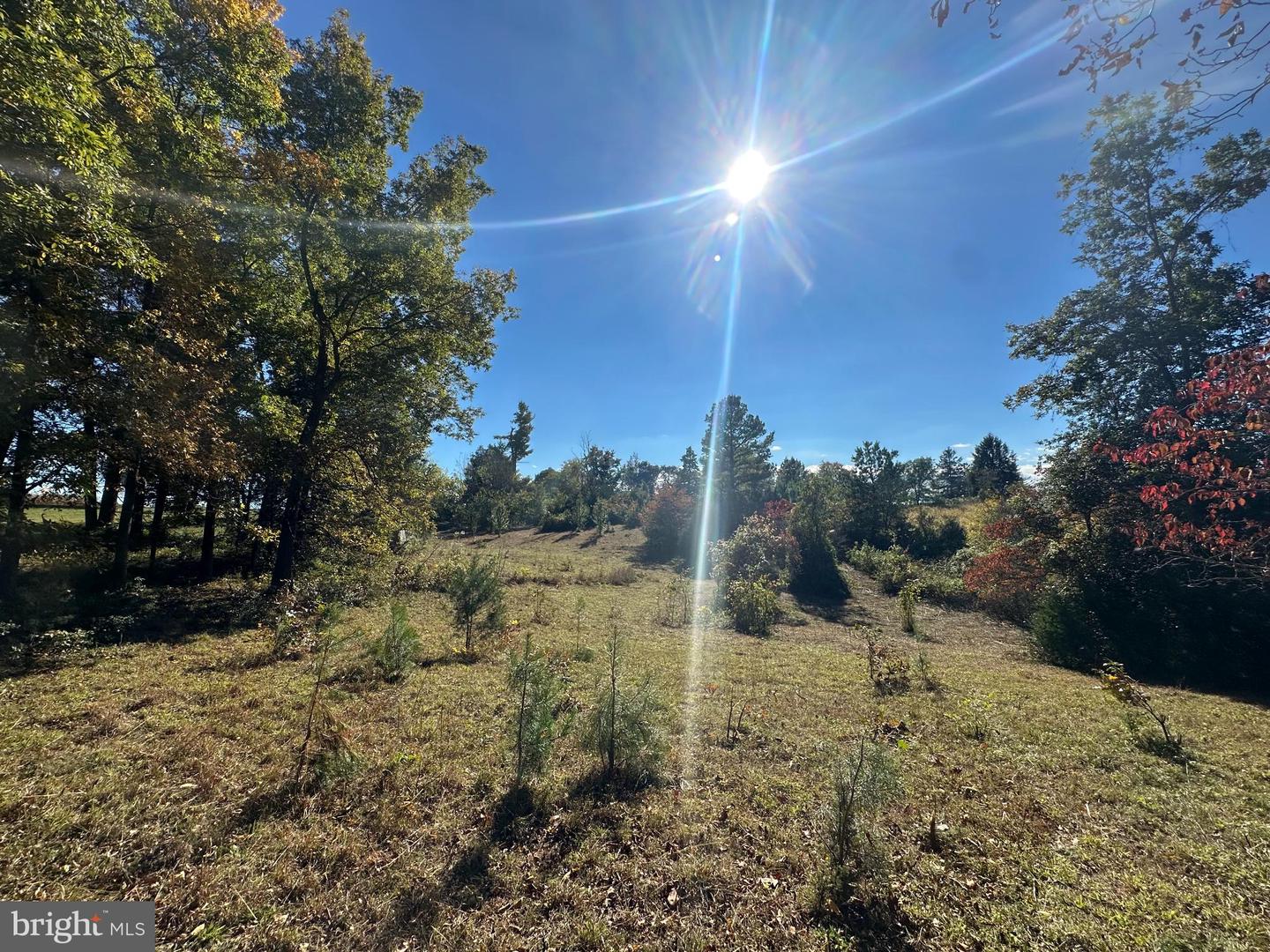 9441 CONSTITUTION HWY, SOMERSET, Virginia 22972, 2 Bedrooms Bedrooms, 7 Rooms Rooms,1 BathroomBathrooms,Residential,For sale,9441 CONSTITUTION HWY,VAOR2012532 MLS # VAOR2012532