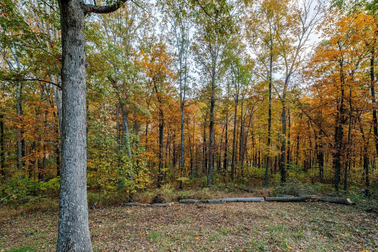 115 RISK RD, NEW MARKET, Virginia 22844, 2 Bedrooms Bedrooms, ,1 BathroomBathrooms,Residential,115 RISK RD,670579 MLS # 670579 115 RISK RD, NEW MARKET, Virginia 22844, 2 Bedrooms Bedrooms, ,1 BathroomBathrooms,Residential,115 RISK RD,670579 MLS # 670579