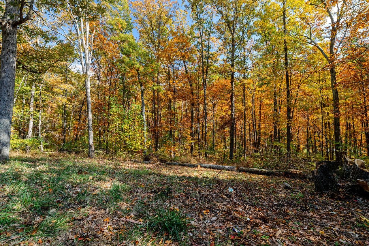 115 RISK RD, NEW MARKET, Virginia 22844, 2 Bedrooms Bedrooms, ,1 BathroomBathrooms,Residential,115 RISK RD,670579 MLS # 670579 115 RISK RD, NEW MARKET, Virginia 22844, 2 Bedrooms Bedrooms, ,1 BathroomBathrooms,Residential,115 RISK RD,670579 MLS # 670579