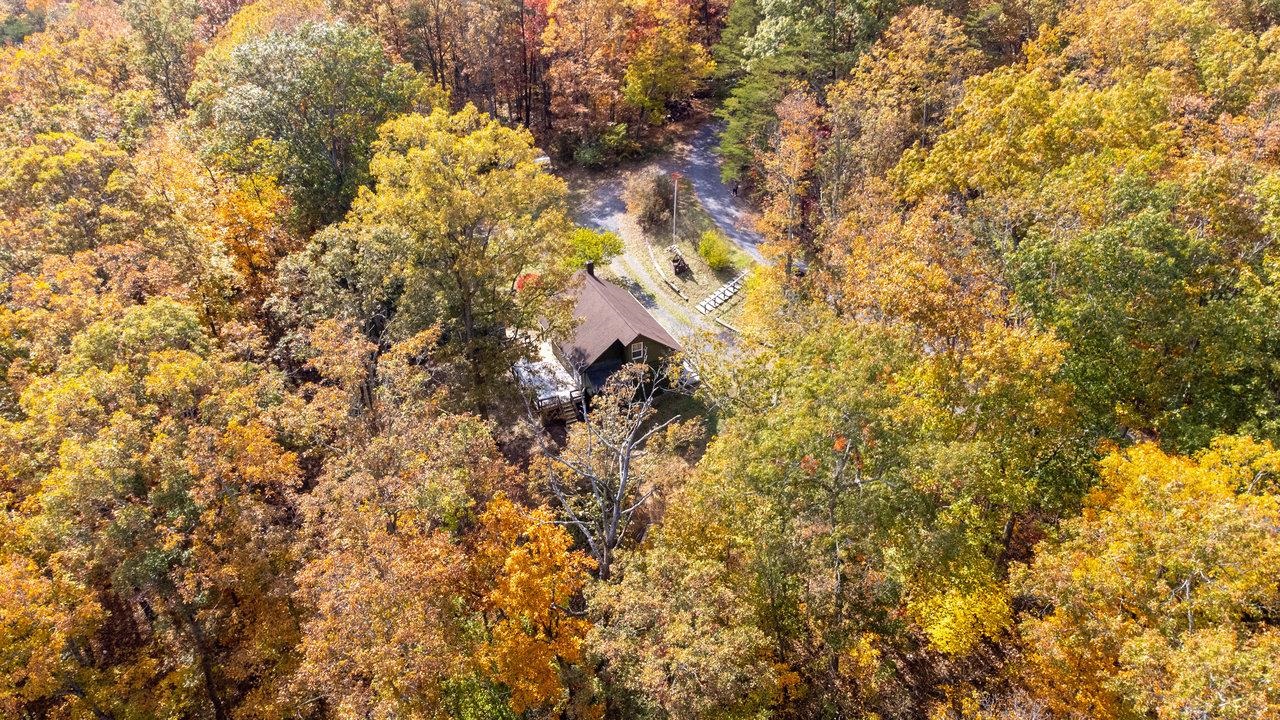 115 RISK RD, NEW MARKET, Virginia 22844, 2 Bedrooms Bedrooms, ,1 BathroomBathrooms,Residential,115 RISK RD,670579 MLS # 670579 115 RISK RD, NEW MARKET, Virginia 22844, 2 Bedrooms Bedrooms, ,1 BathroomBathrooms,Residential,115 RISK RD,670579 MLS # 670579