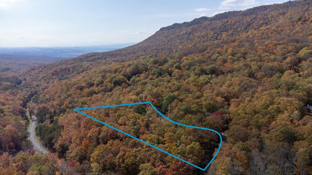 115 RISK RD, NEW MARKET, Virginia 22844, 2 Bedrooms Bedrooms, ,1 BathroomBathrooms,Residential,115 RISK RD,670579 MLS # 670579 115 RISK RD, NEW MARKET, Virginia 22844, 2 Bedrooms Bedrooms, ,1 BathroomBathrooms,Residential,115 RISK RD,670579 MLS # 670579