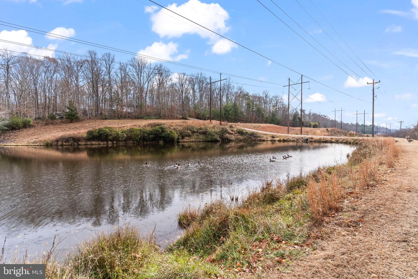 12110 LOBLOLLY RD, RUTHER GLEN, Virginia 22546, 4 Bedrooms Bedrooms, 8 Rooms Rooms,3 BathroomsBathrooms,Residential,For sale,12110 LOBLOLLY RD,VACV2009140 MLS # VACV2009140