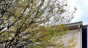 8944 PRINCETON PARK DR, MANASSAS, Virginia 20110, 3 Bedrooms Bedrooms, ,2 BathroomsBathrooms,Residential,For sale,8944 PRINCETON PARK DR,VAMN2009734 MLS # VAMN2009734